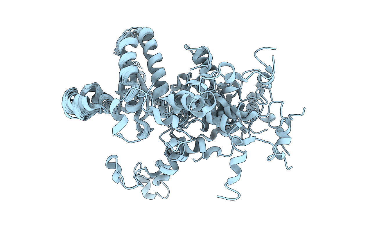2BL5 image