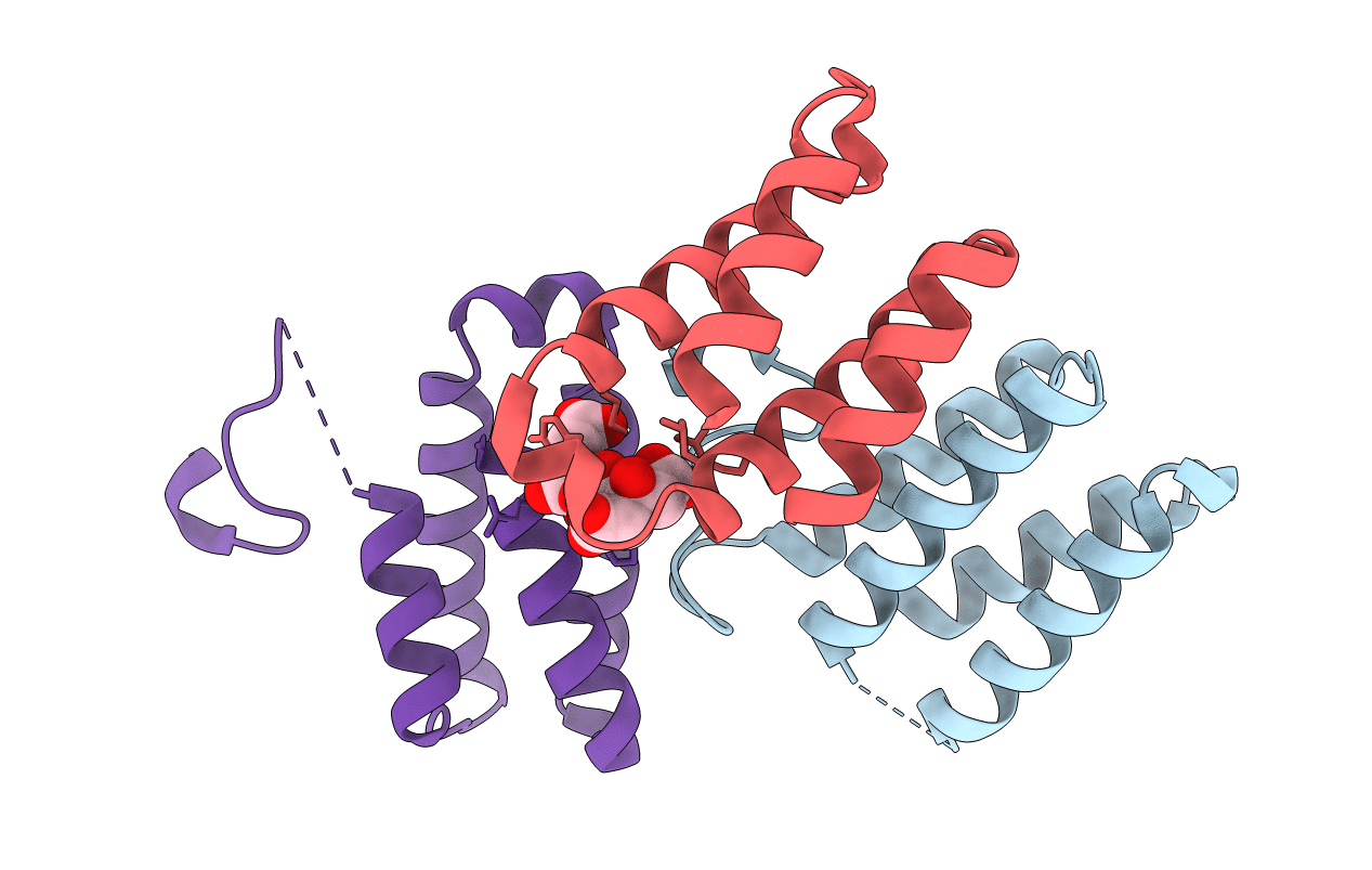 2BL8 image