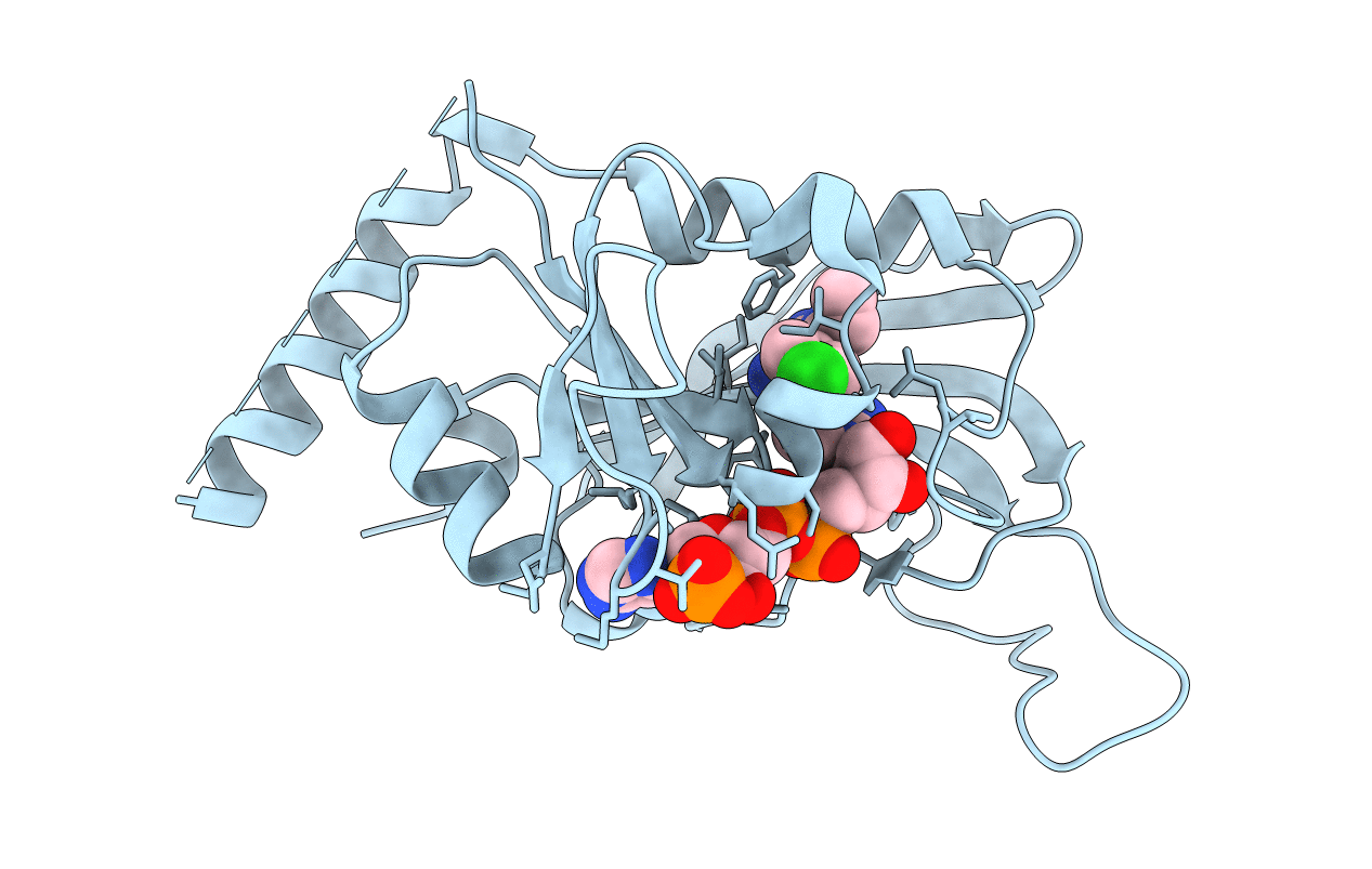 2BL9 image