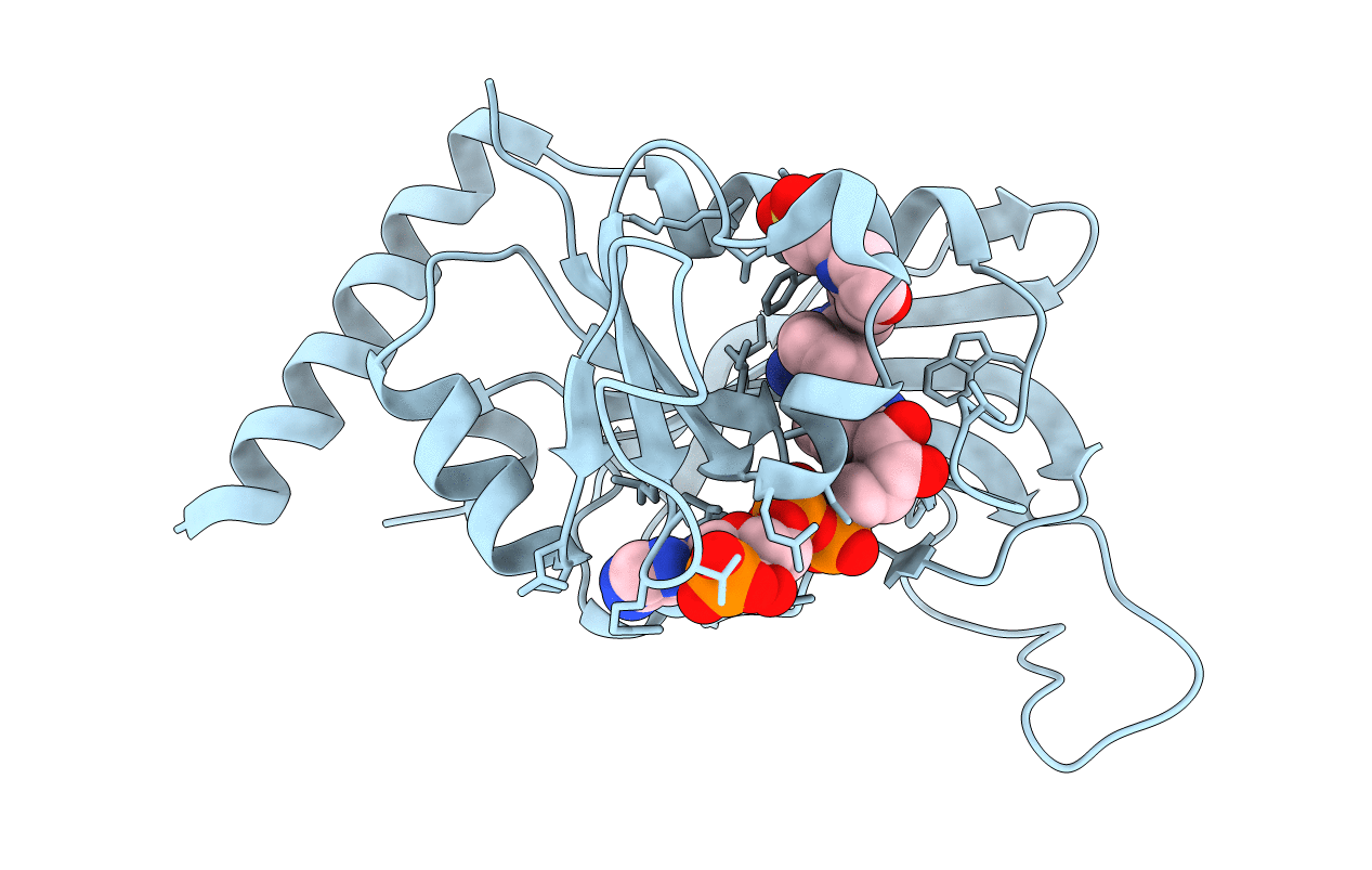 2BLB image