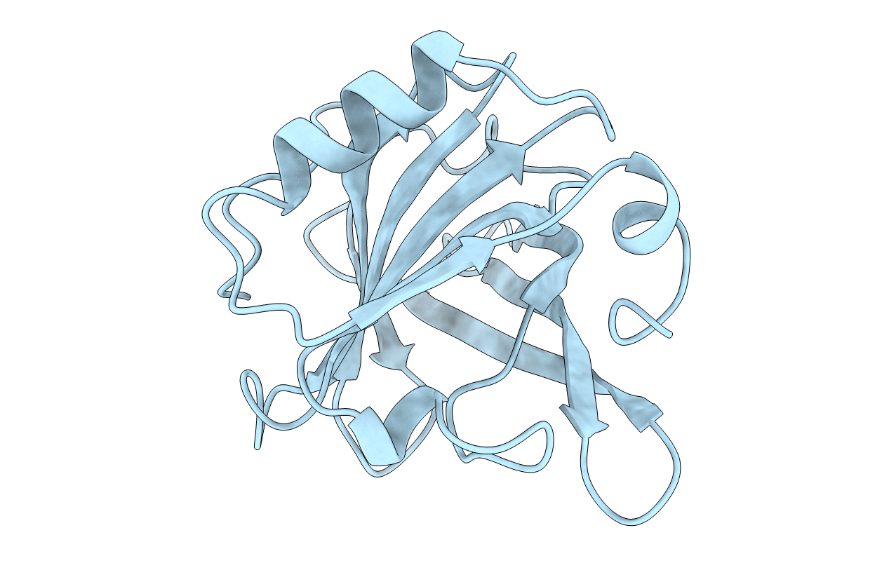 2BLG image