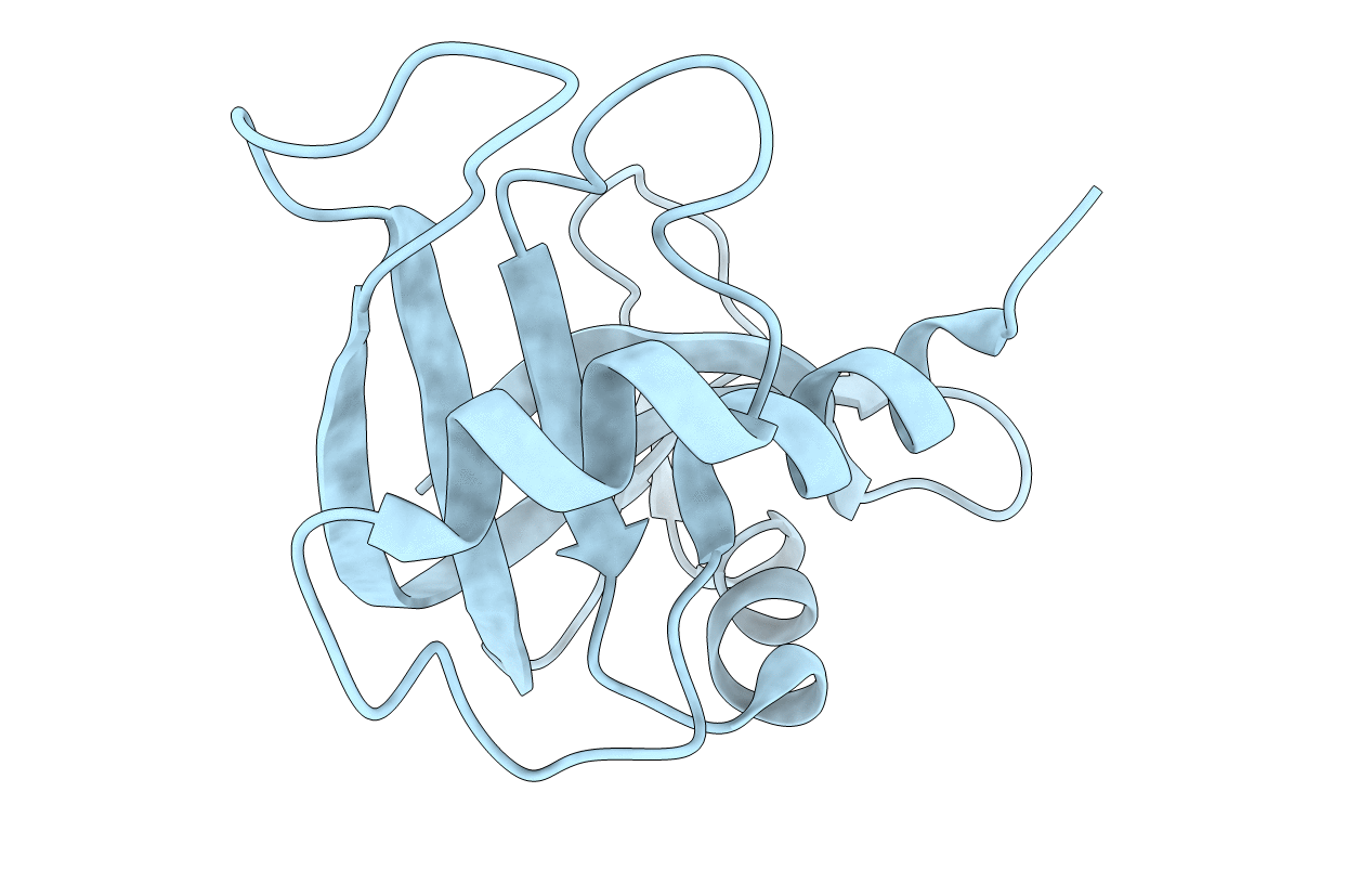 2BLP image