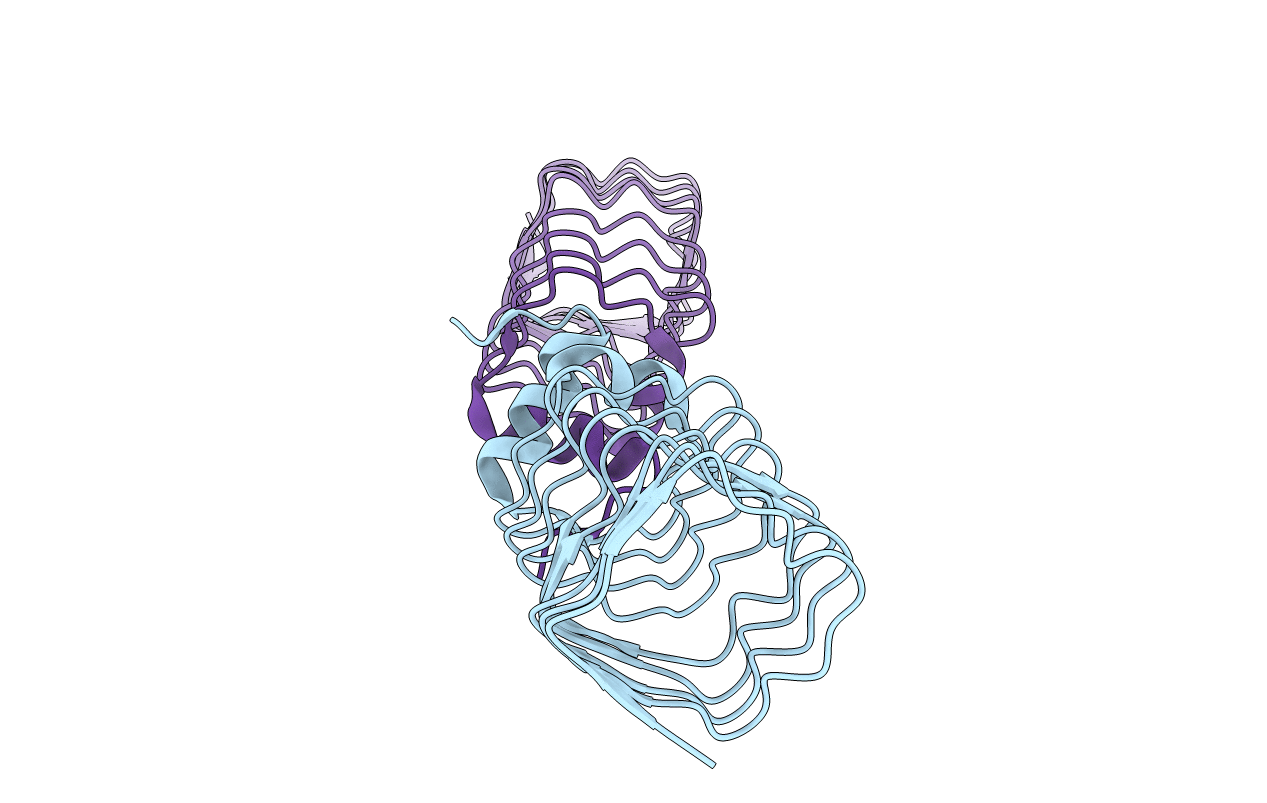2BM4 image