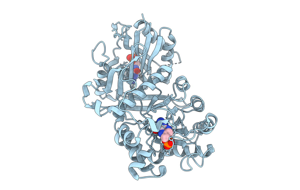 2BMB image