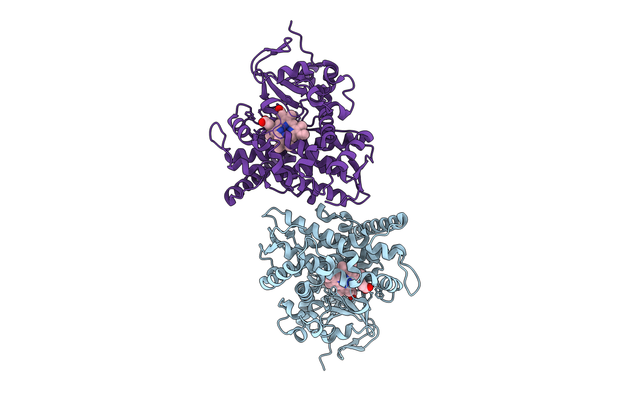 2BMH image