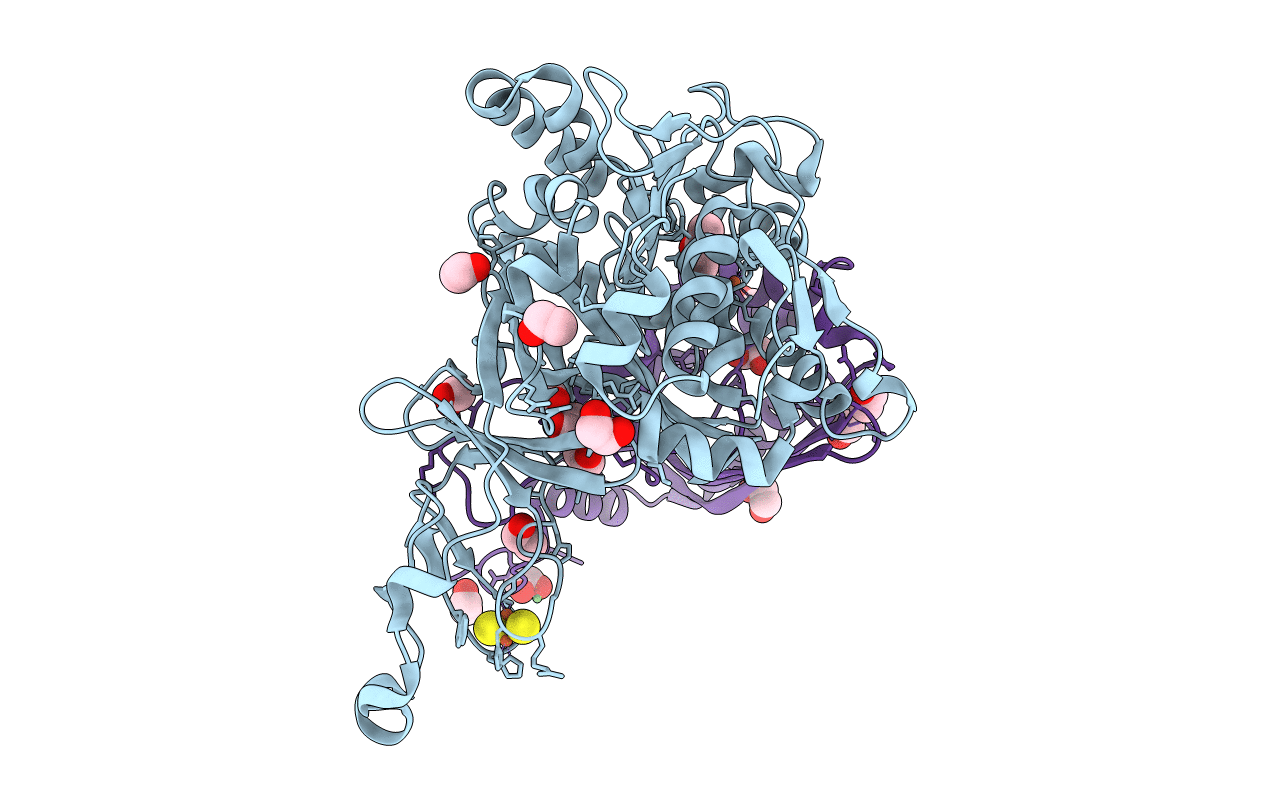 2BMR image