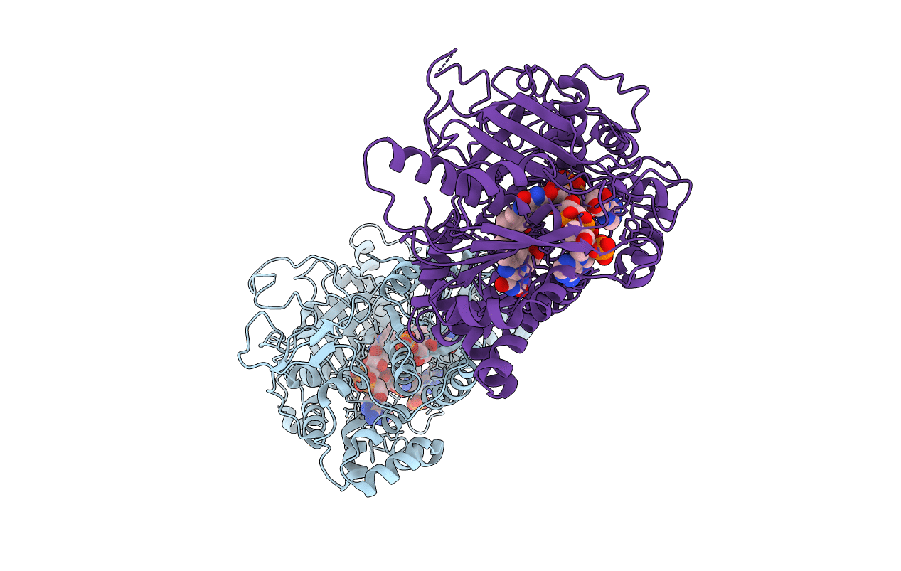 2BN4 image