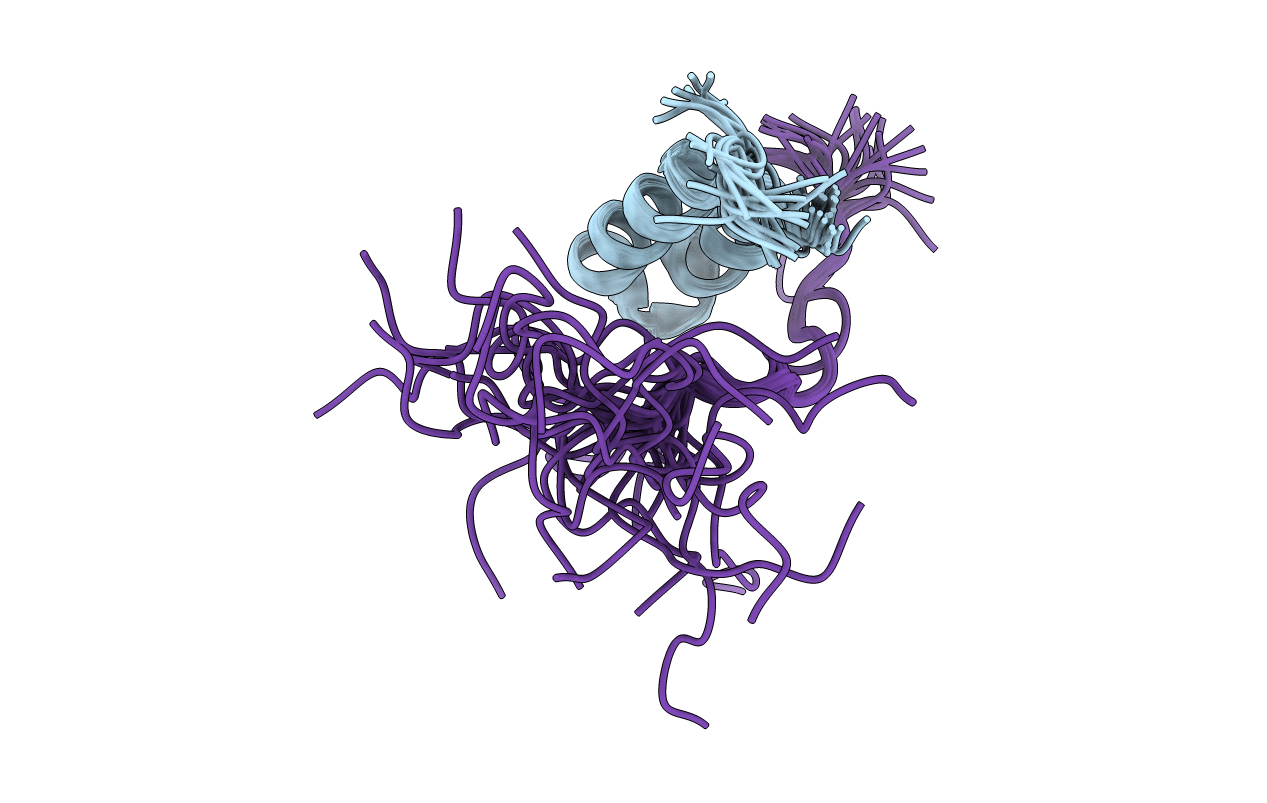 2BN5 image