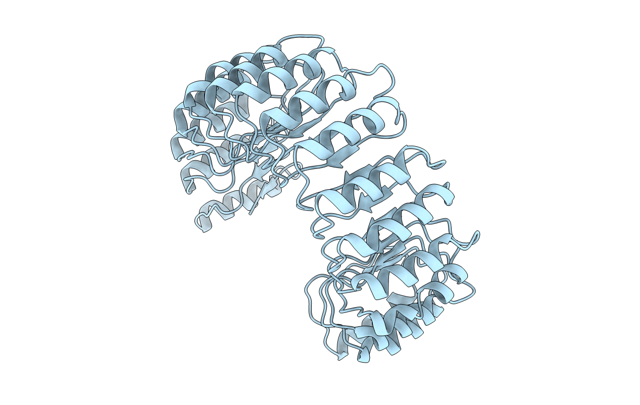 2BNH image