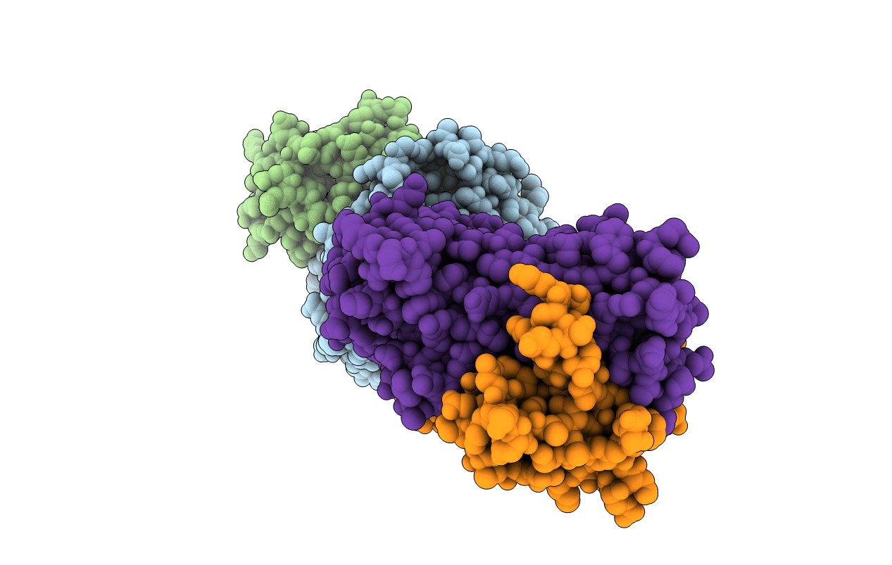2BNR image