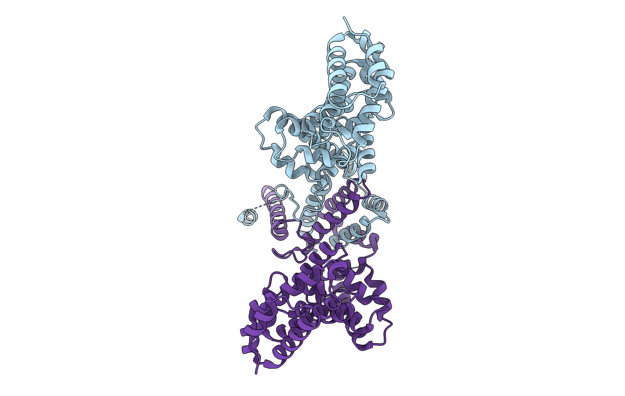 2BNX image