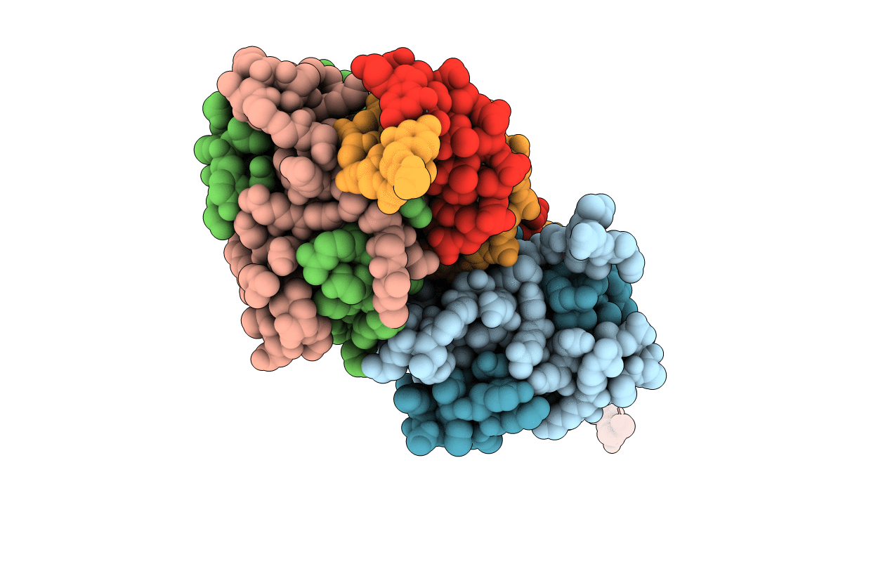 2BNZ image
