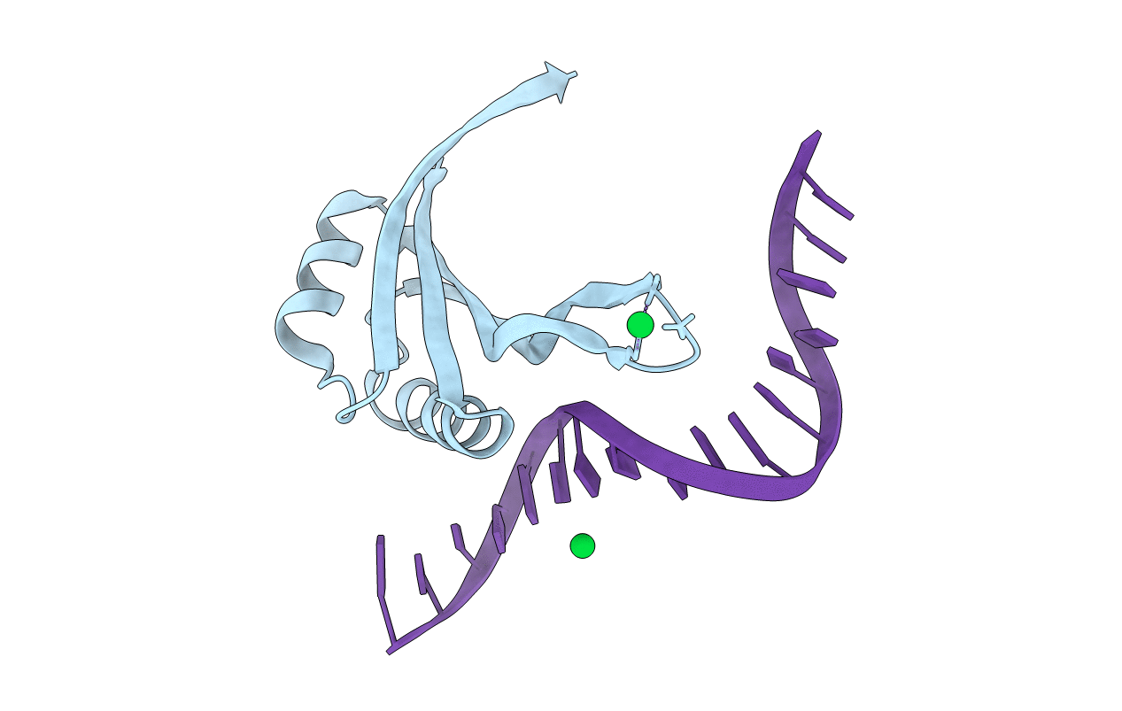 2BOP image