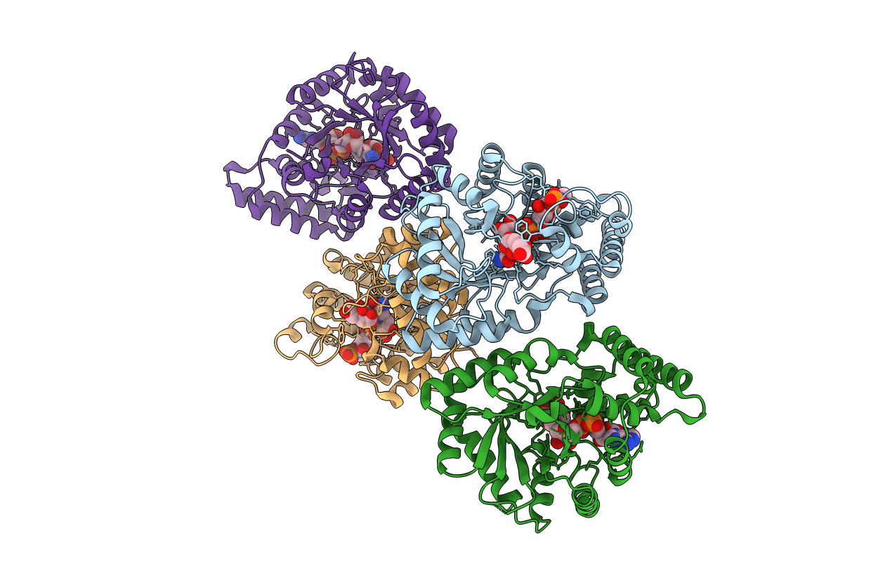 2BP1 image