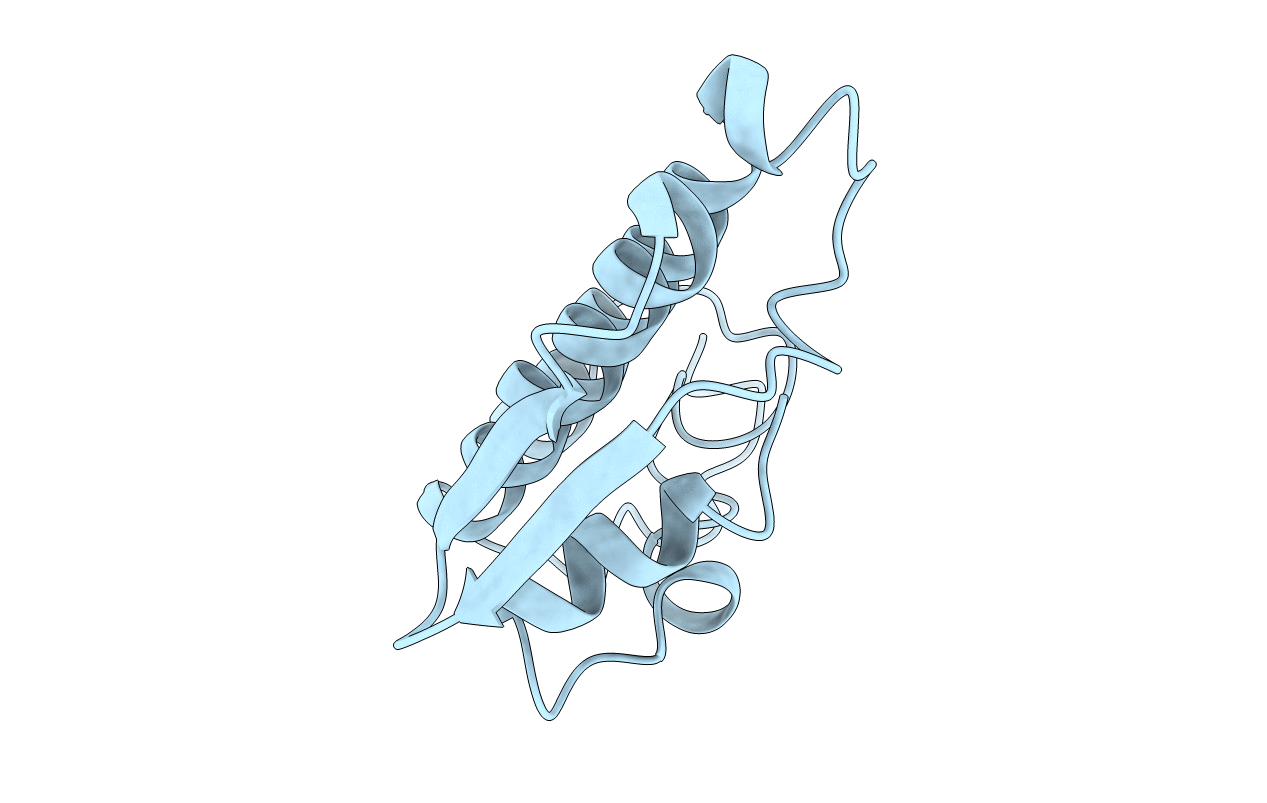 2BP2 image
