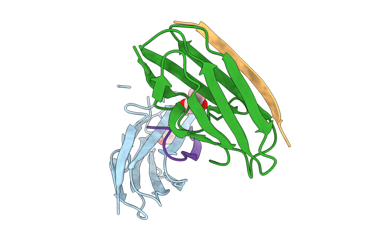 2BP3 image