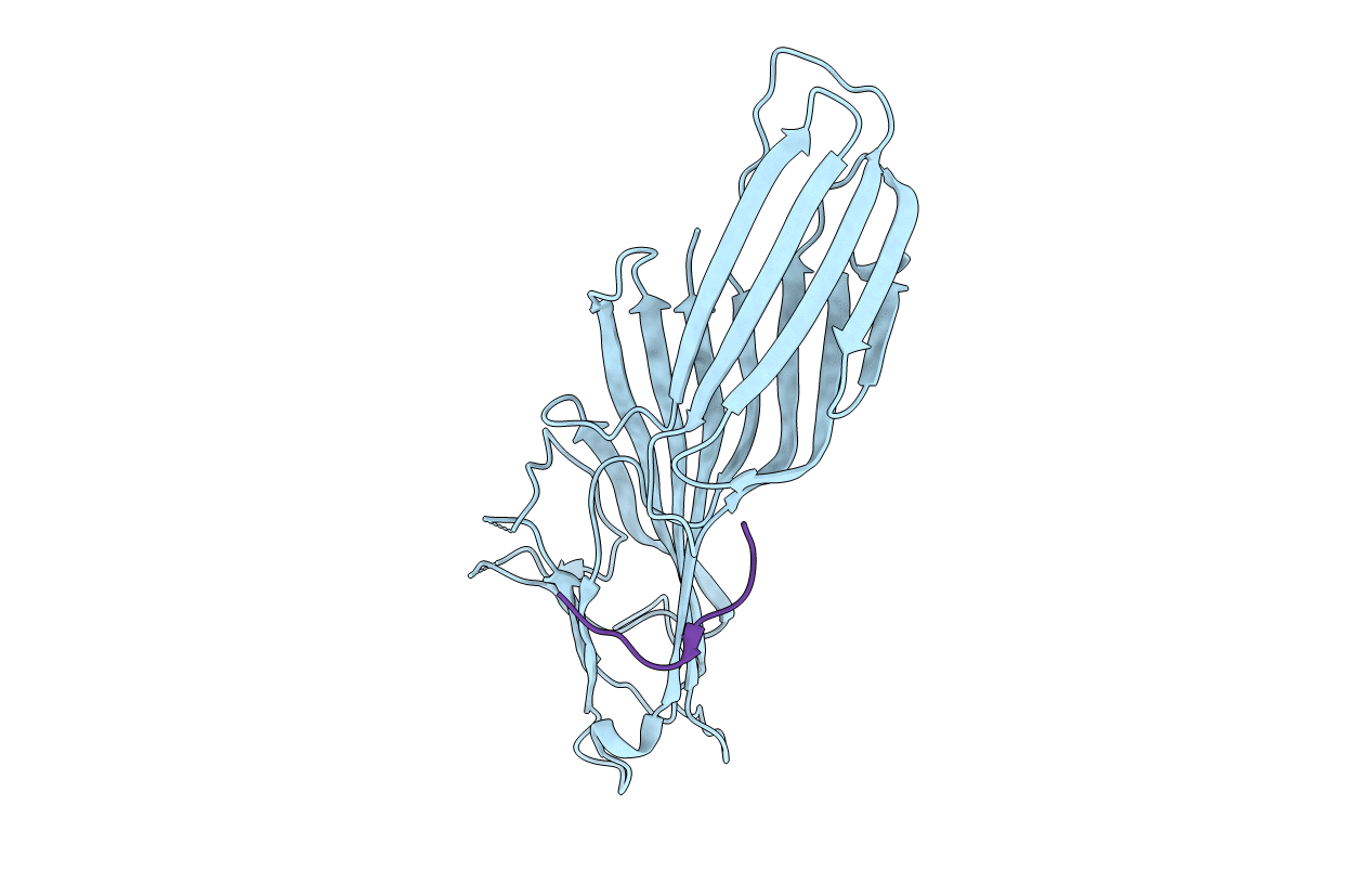 2BP5 image