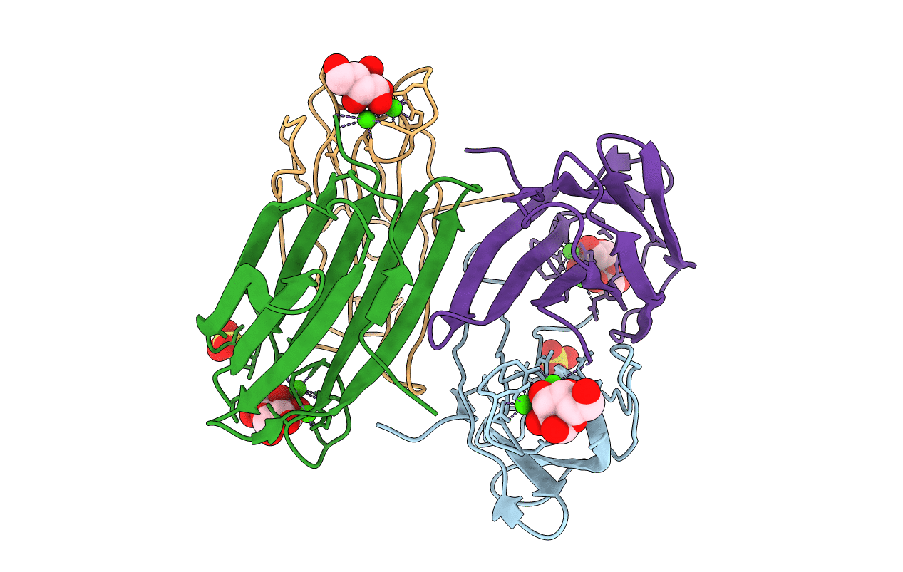 2BP6 image