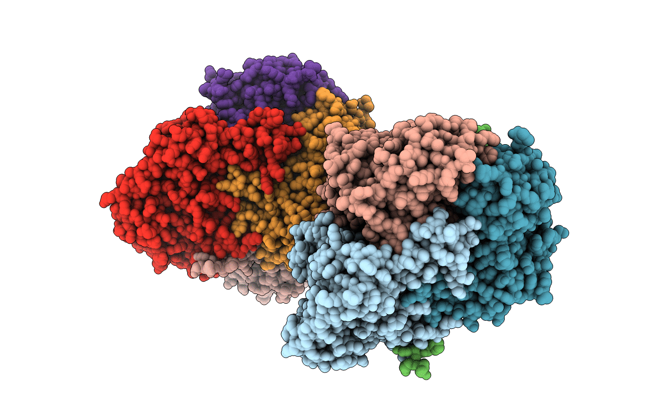 2BP7 image