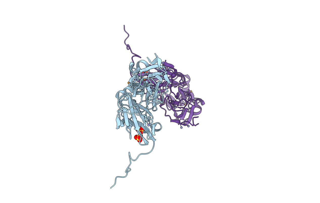2BP8 image