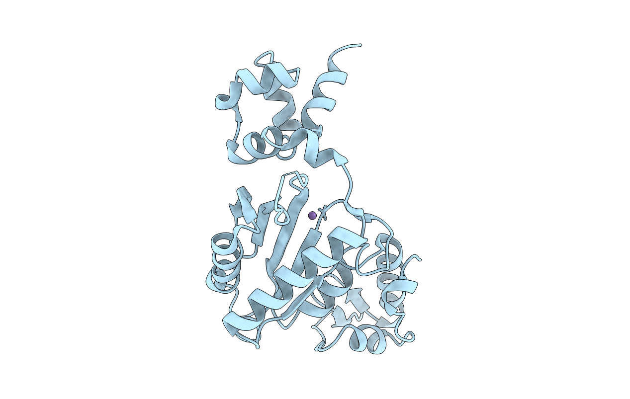 2BPC image