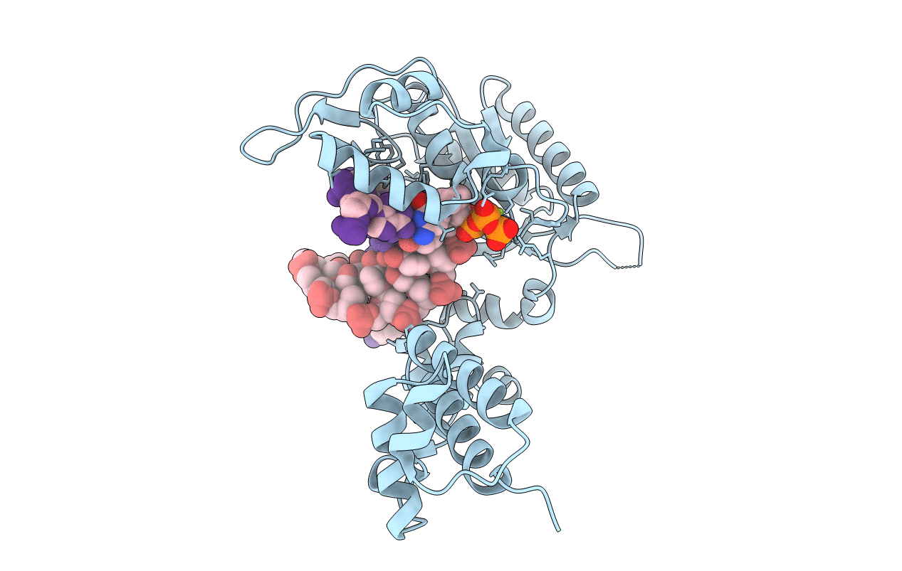 2BPF image