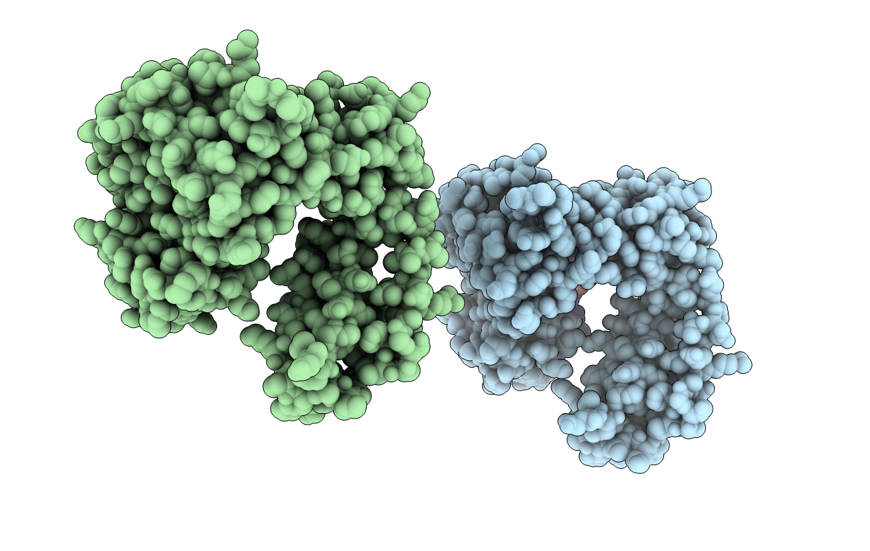 2BPG image
