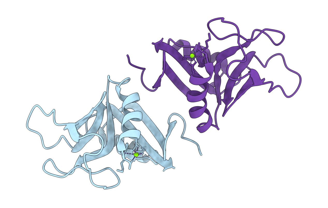 2BPH image