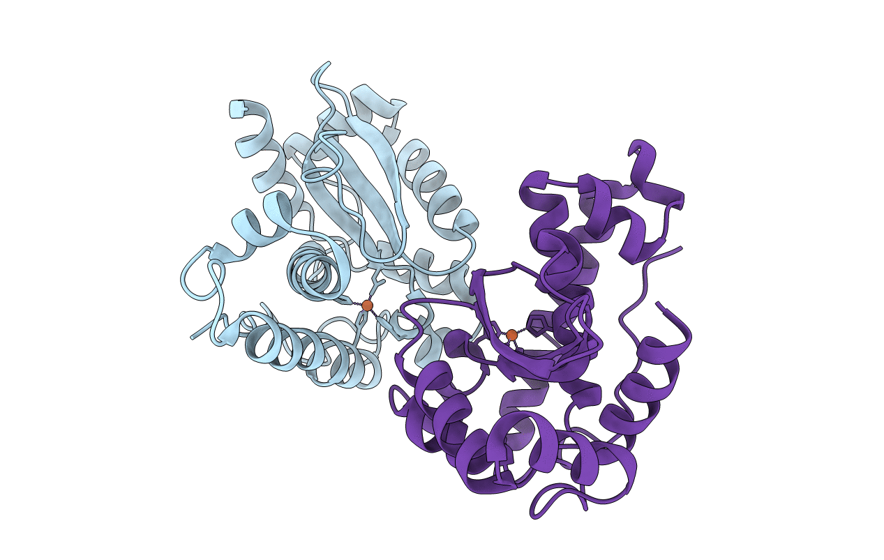 2BPI image