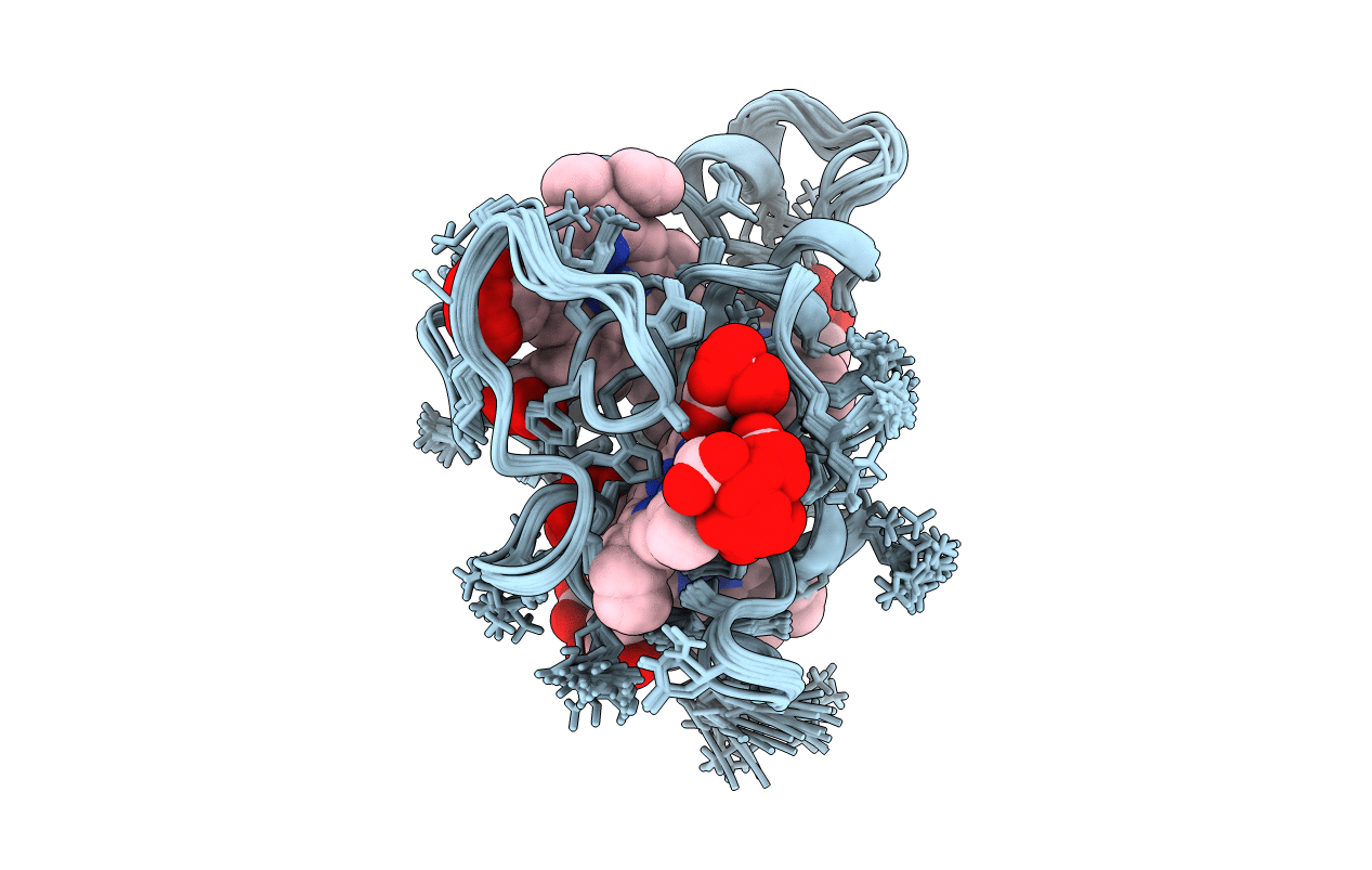 2BPN image