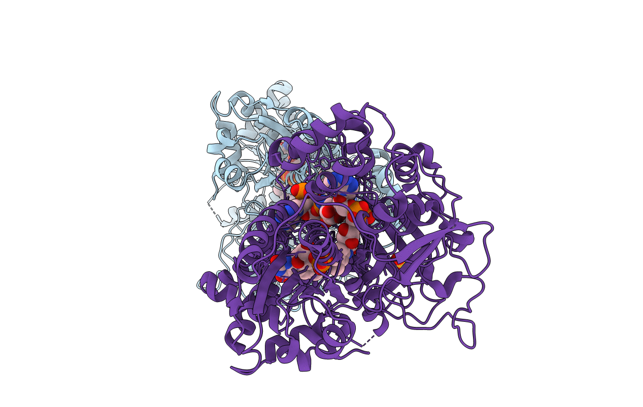 2BPO image
