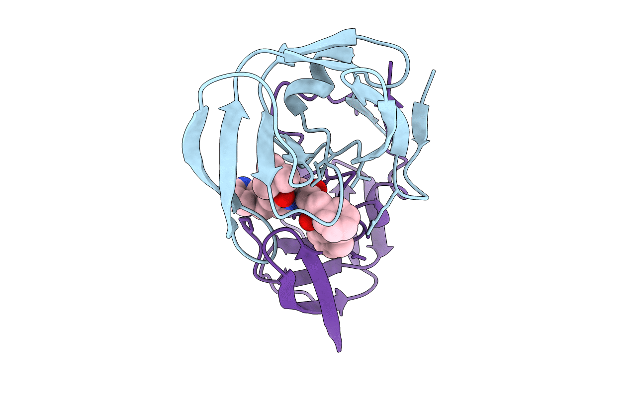 2BPX image