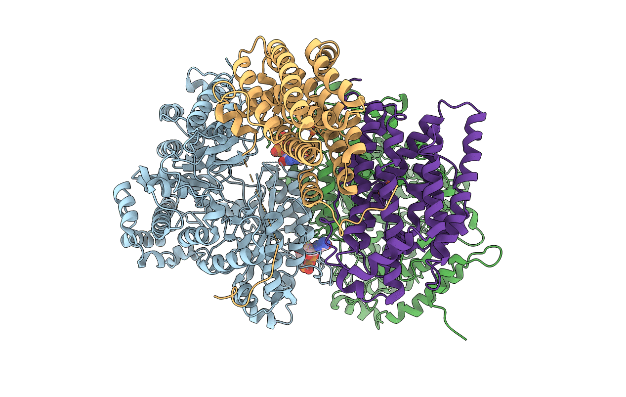 2BQ1 image