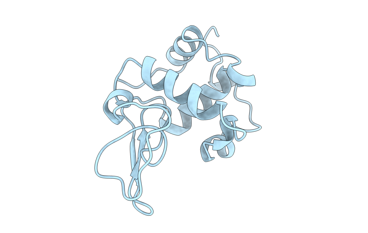 2BQI image