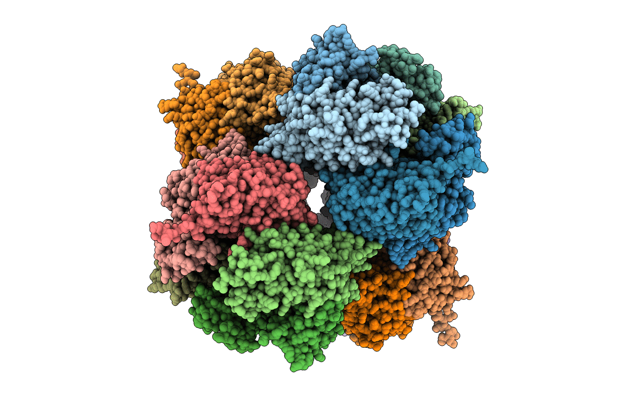 2BR2 image