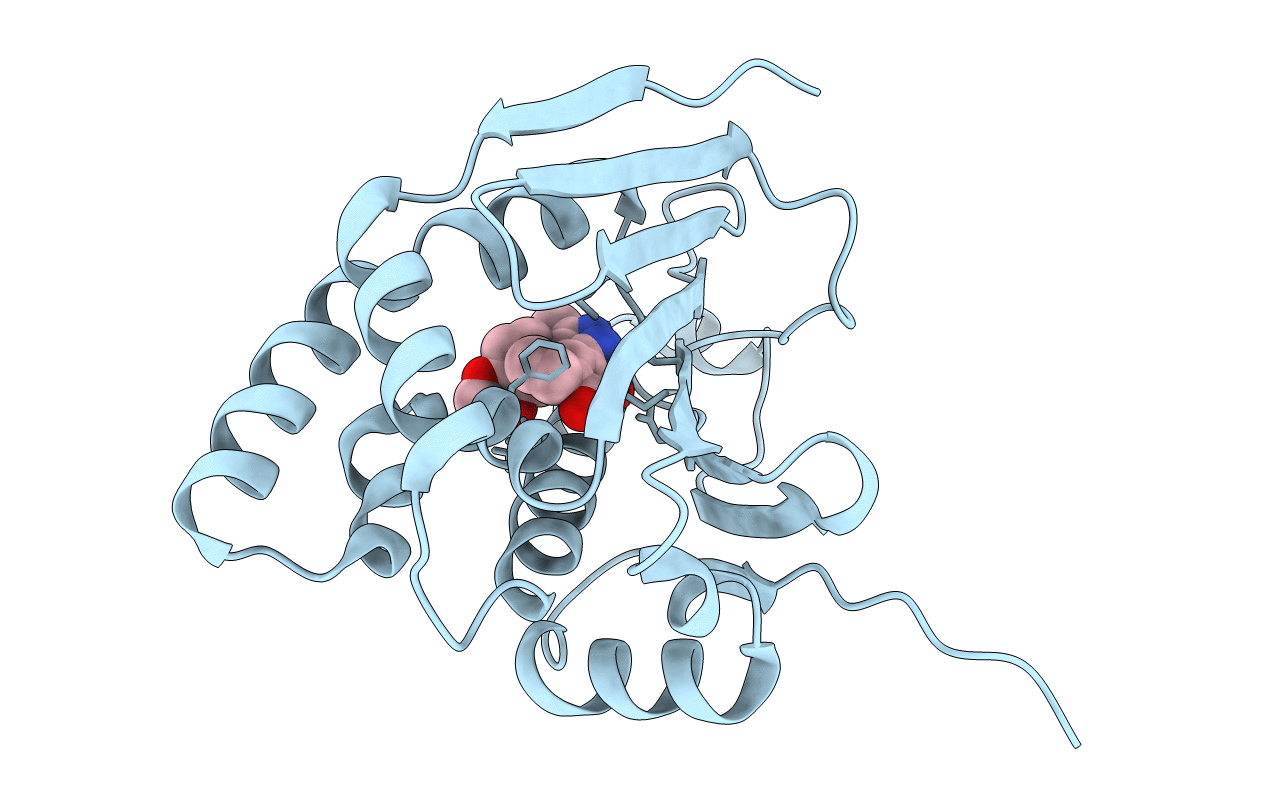 2BRC image