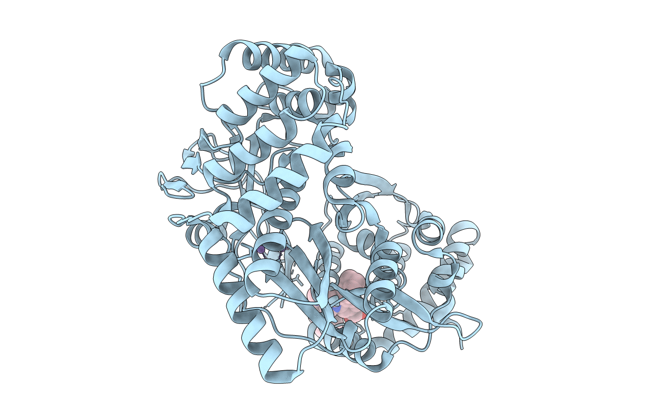 2BRL image