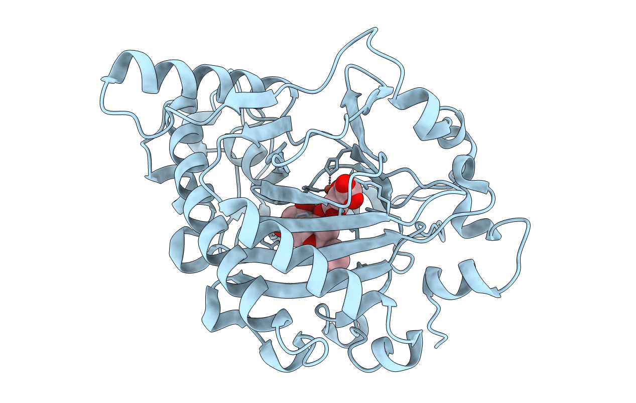 2BRT image
