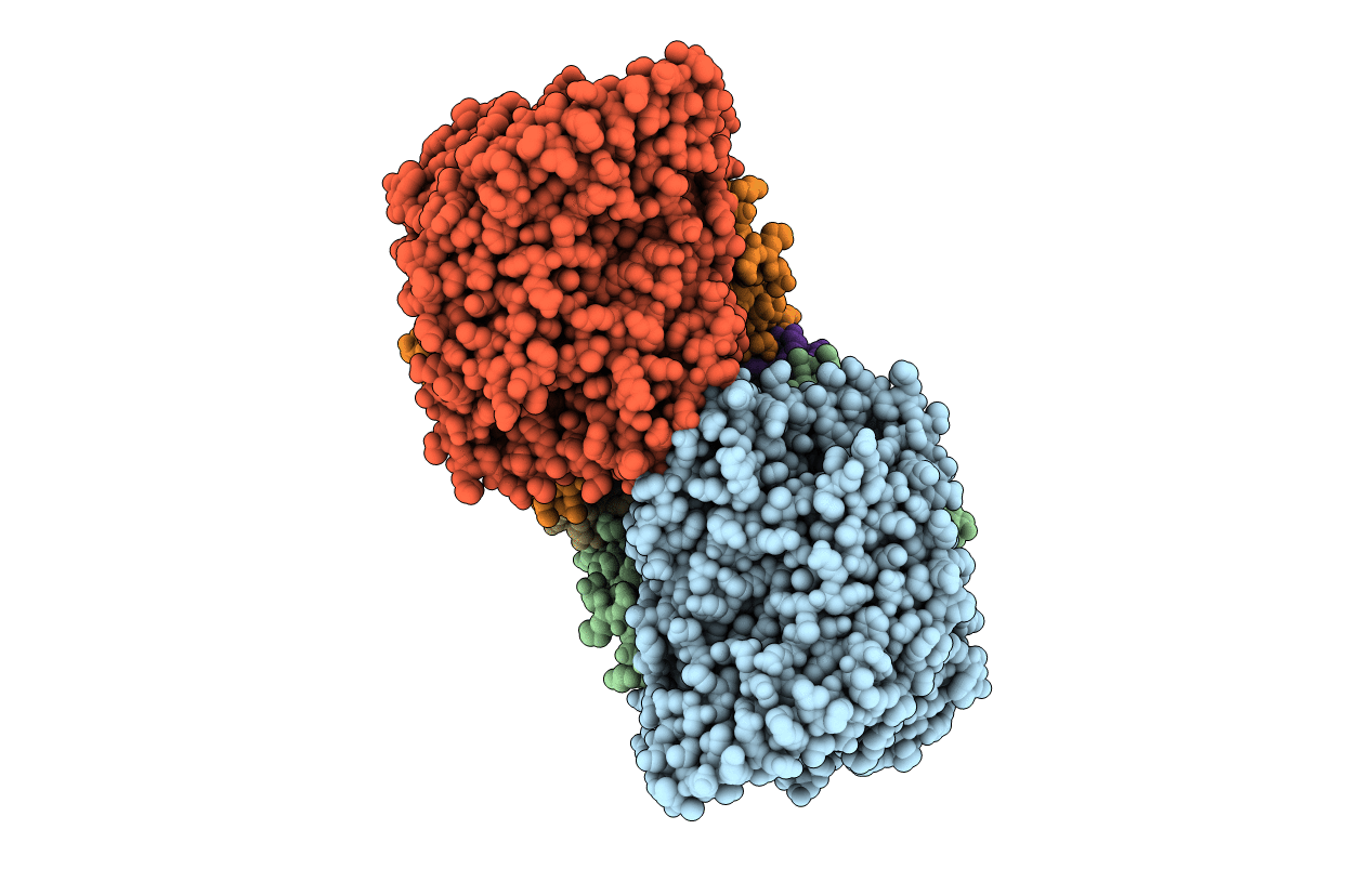 2BS4 image