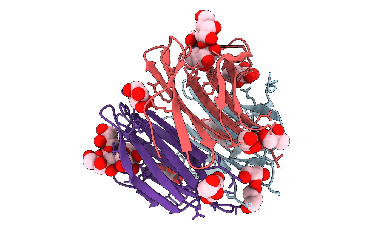 2BS6 image