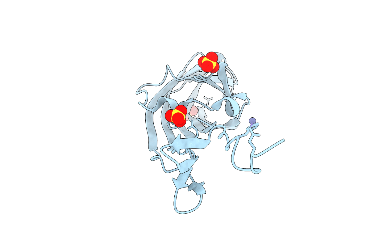 2BSF image