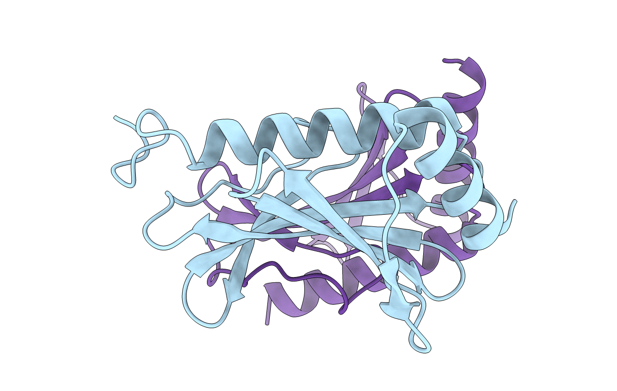 2BSH image