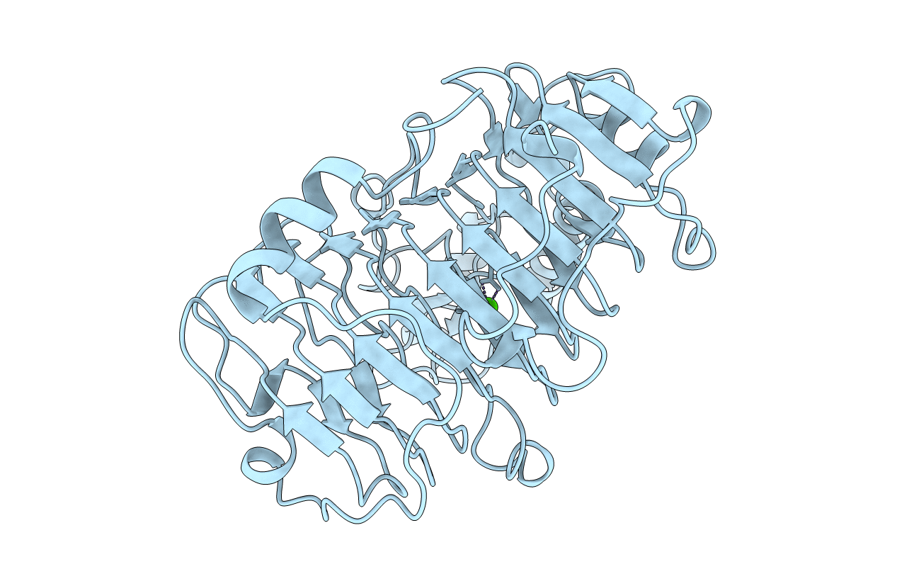 2BSP image
