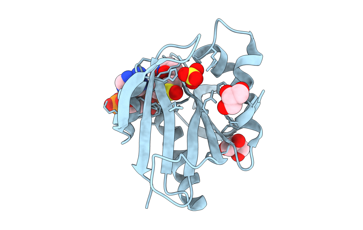 2BSW image