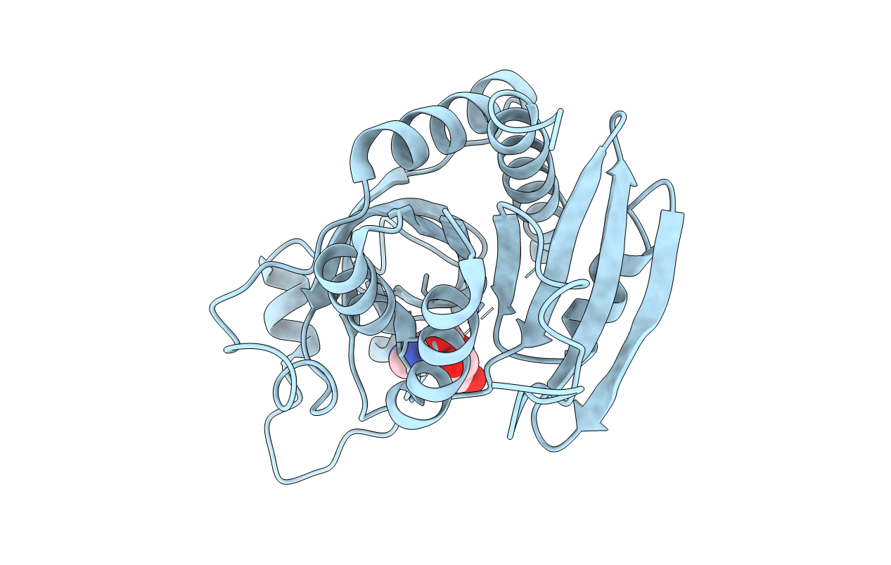 2BSX image