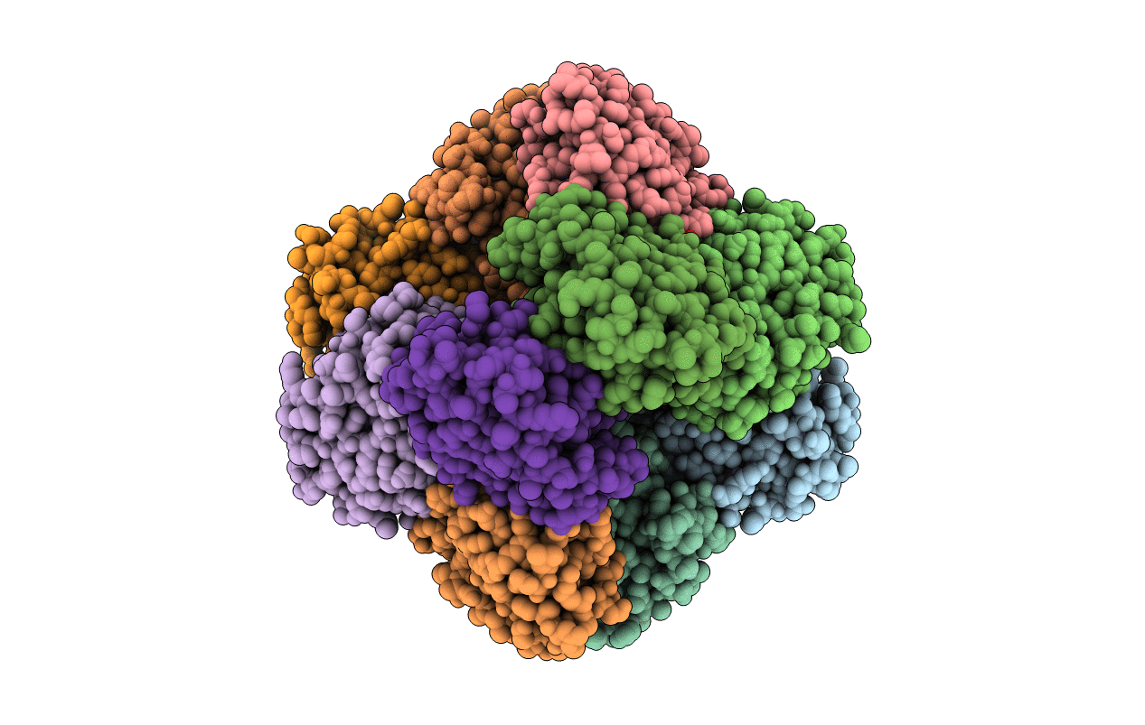 2BT4 image
