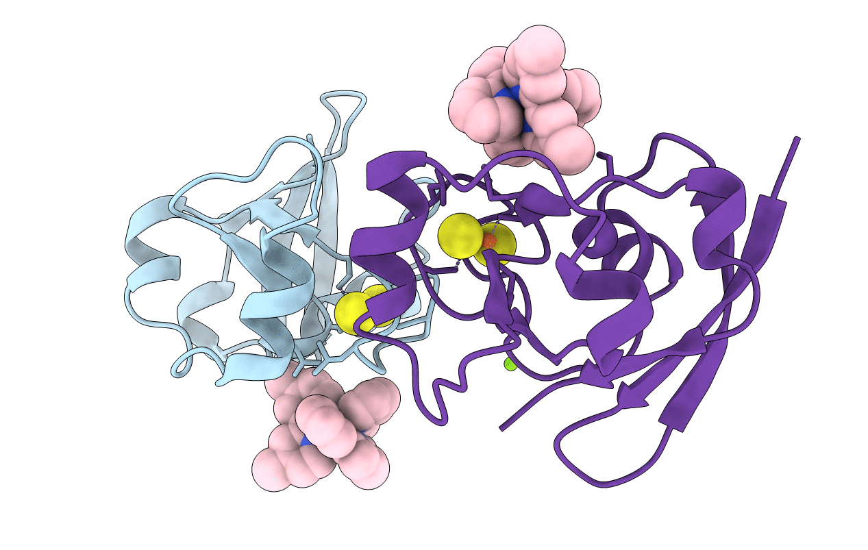 2BT6 image