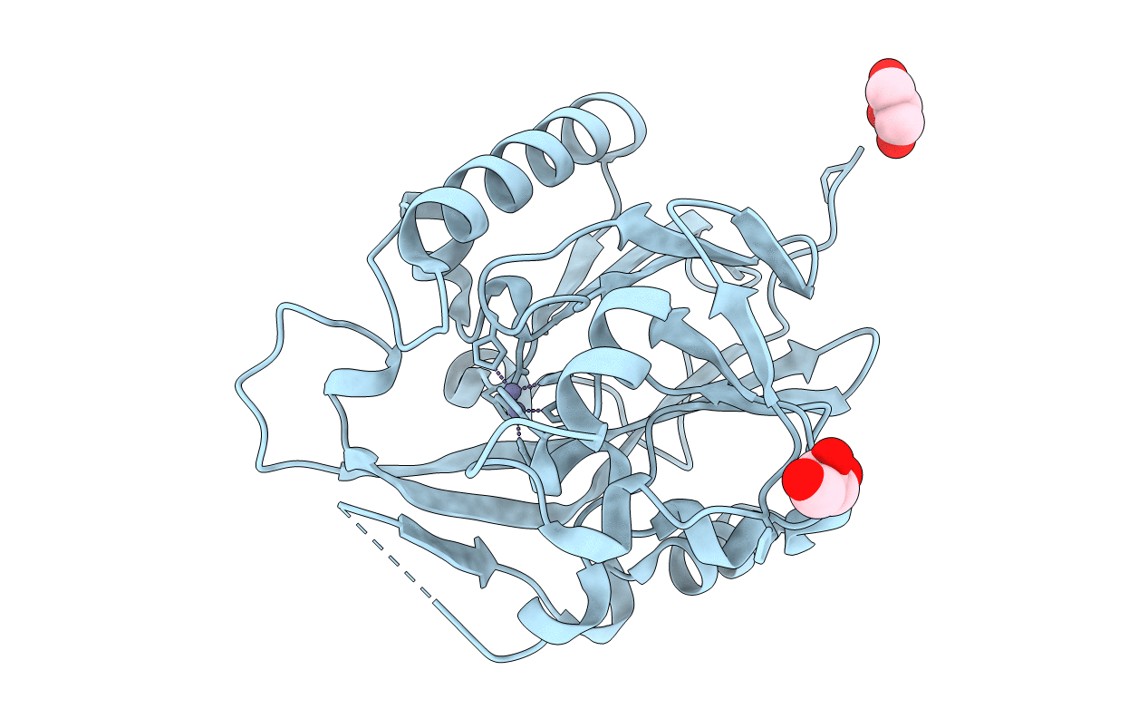 2BTN image