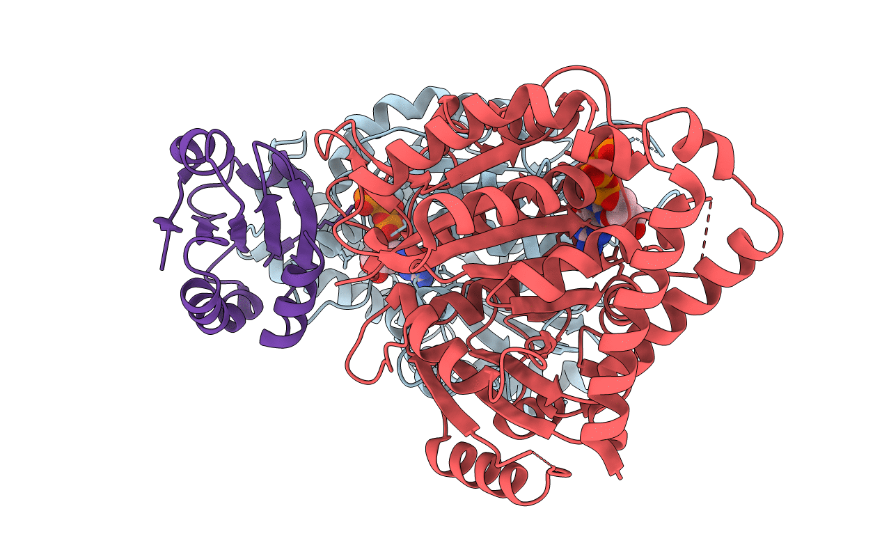 2BTO image
