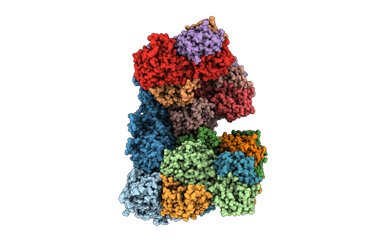 2BTV image